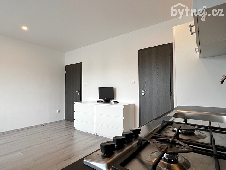 Pronájem bytu 2+kk 41 m² - foto 7