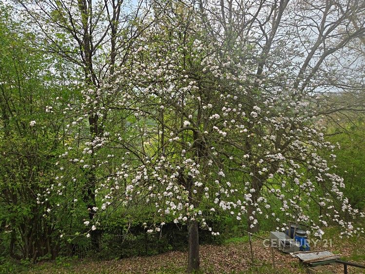 Prodej chaty 55 m², pozemek 1 475 m² - foto 6