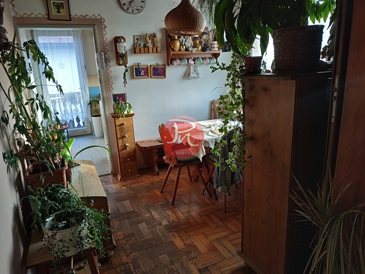Prodej rodinného domu 265 m², pozemek 1 800 m² - foto 8