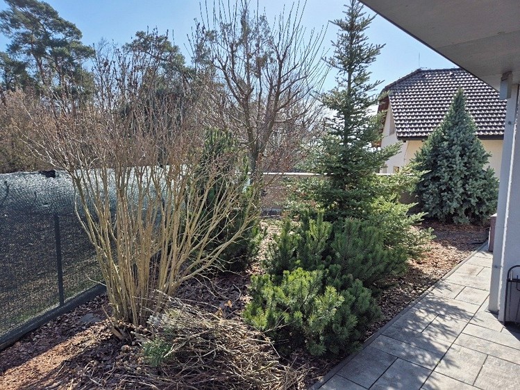 Prodej rodinného domu 365 m², pozemek 1 618 m² - foto 6