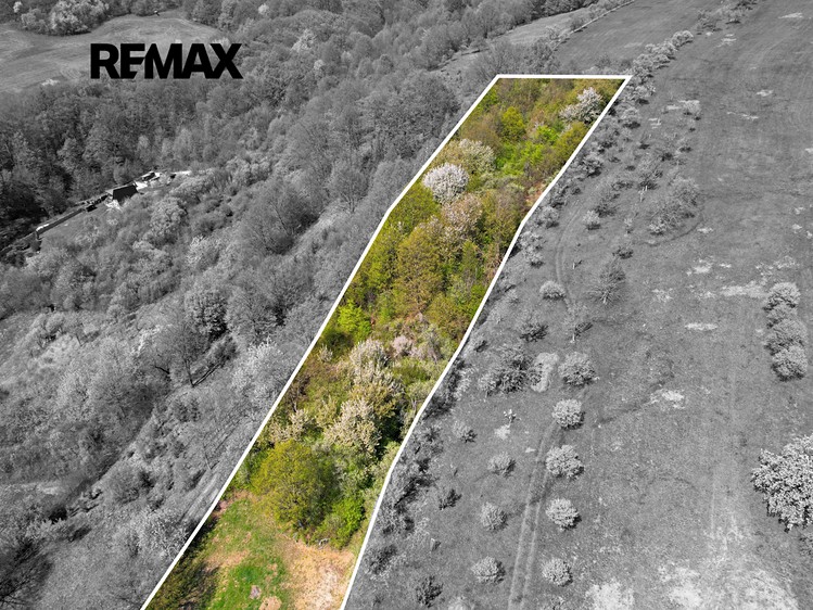 Prodej stavebního pozemku 8 856 m² - foto 7