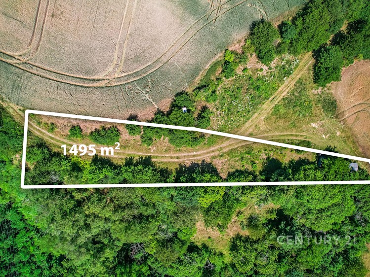 Prodej pole 1 495 m² - foto 3