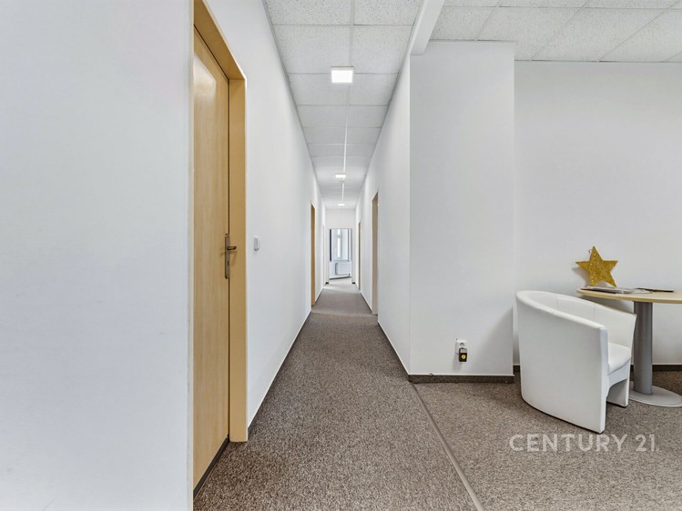 Pronájem kanceláře 139 m² - foto 8