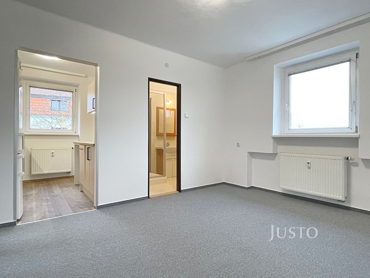 Pronájem bytu 3+1 66 m² (Jednopodlažní) - foto 3