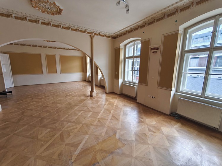 Pronájem bytu 4+1 221 m² - foto 7