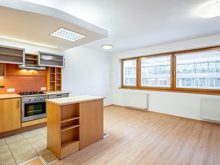 Pronájem bytu 4+kk 121 m² - foto 3