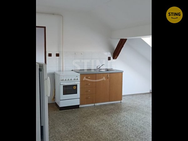 Pronájem bytu 1+1 62 m² - foto 3