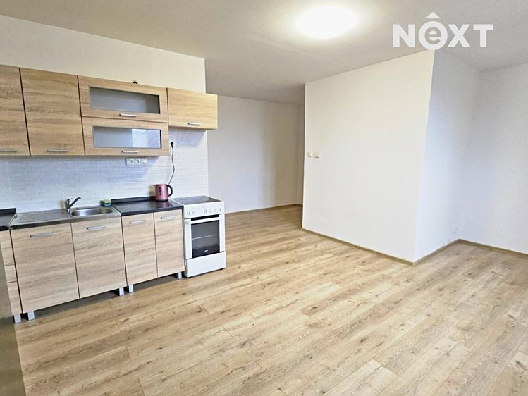 Pronájem bytu 1+kk 40 m² (Jednopodlažní) - foto 3