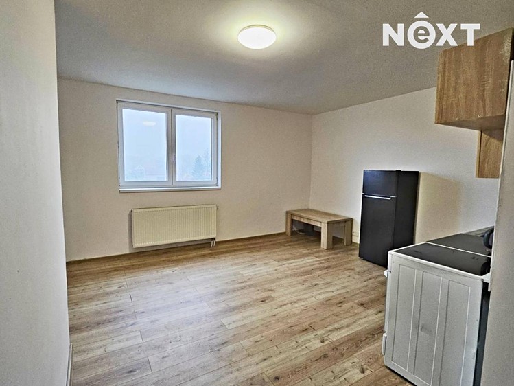 Pronájem bytu 1+kk 40 m² (Jednopodlažní) - foto 4
