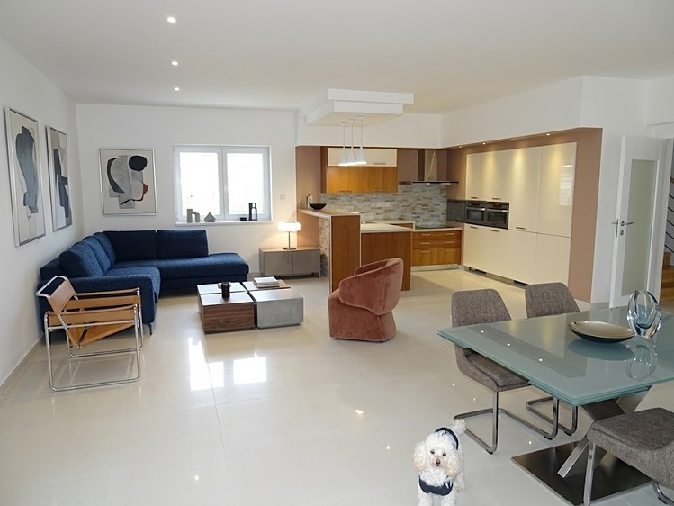 Prodej rodinného domu 360 m², pozemek 1 000 m² - foto 2