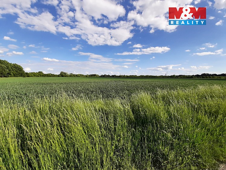 Prodej  pole 3 295 m² - foto 5