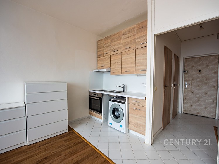 Pronájem bytu 1+kk 24 m² - foto 4