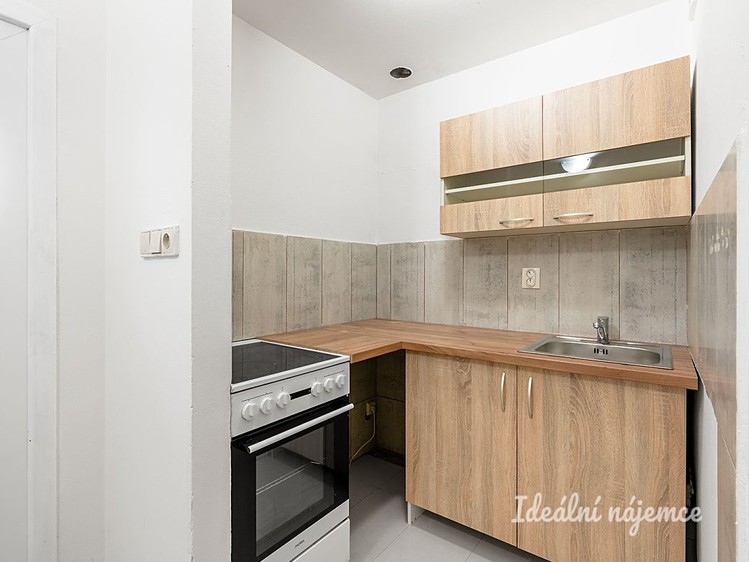 Pronájem bytu 2+1 48 m² - foto 4