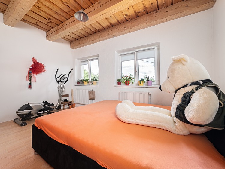 Prodej rodinného domu 520 m², pozemek 1 414 m² - foto 6