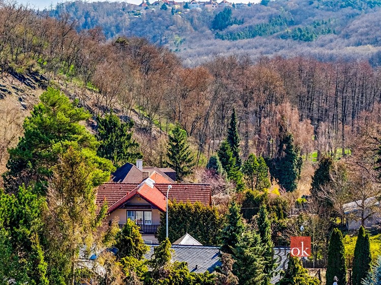 Prodej rodinného domu 258 m², pozemek 1 347 m² - foto 8