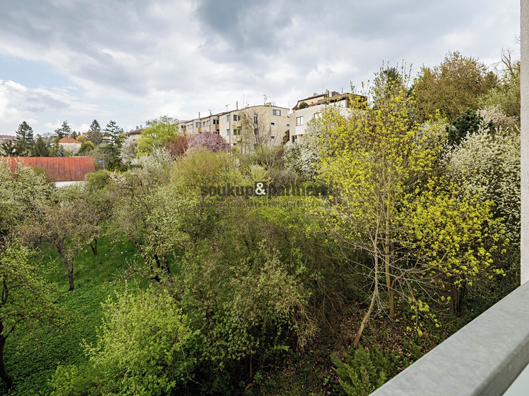 Pronájem bytu 2+kk 67 m² - foto 6
