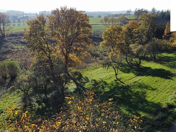 Prodej stavebního pozemku 1 442 m² - foto 6