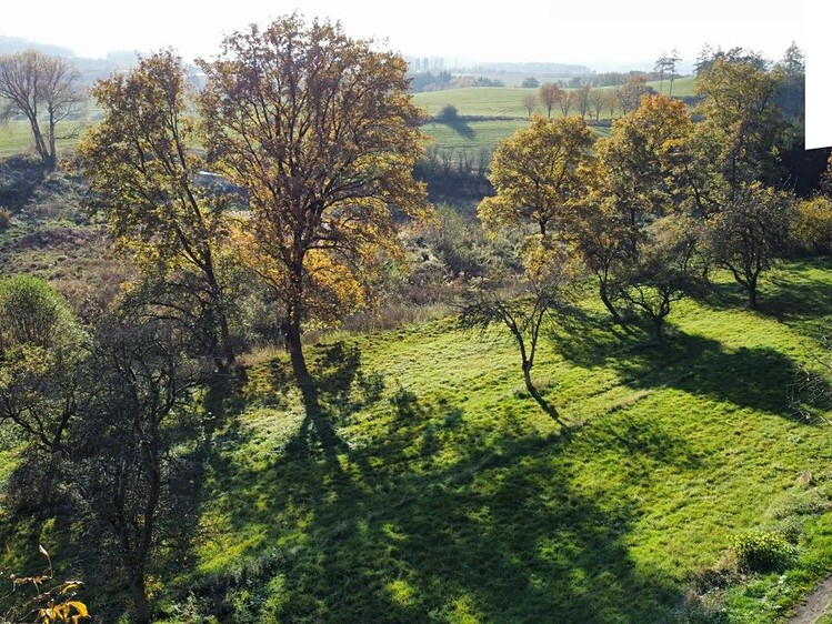 Prodej stavebního pozemku 1 442 m² - foto 7