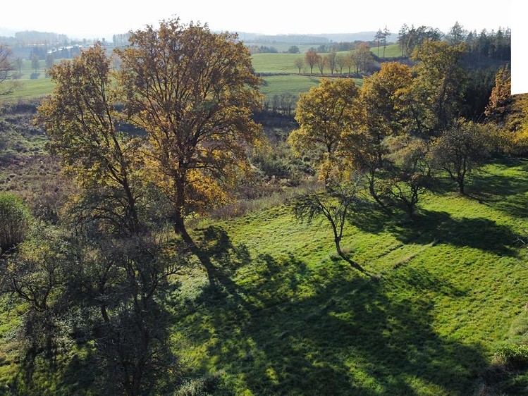 Prodej stavebního pozemku 1 442 m² - foto 3