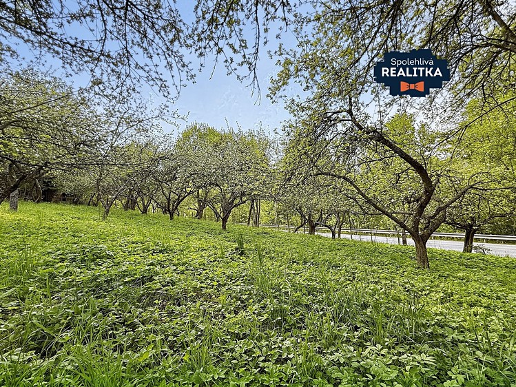 Prodej  zahrady 2 569 m² - foto 6