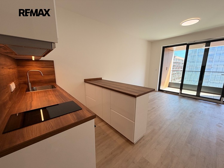 Pronájem bytu 1+kk 30 m² (Jednopodlažní) - foto 7