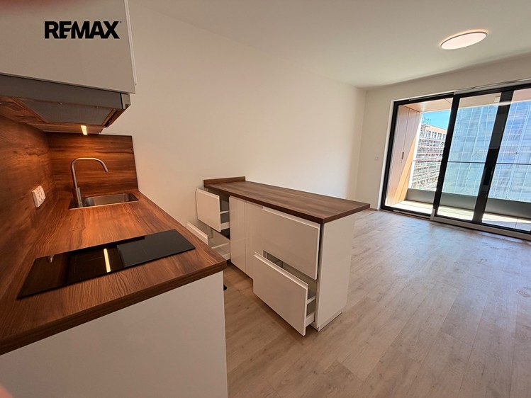 Pronájem bytu 1+kk 30 m² (Jednopodlažní) - foto 8