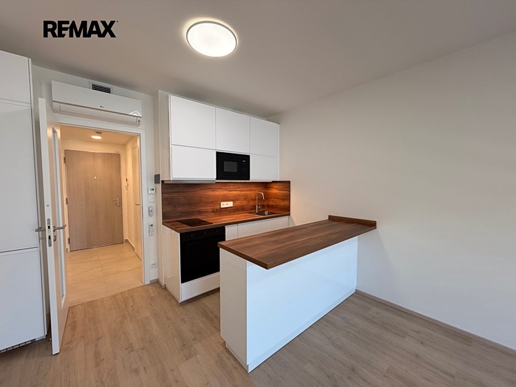Pronájem bytu 1+kk 30 m² (Jednopodlažní) - foto 4