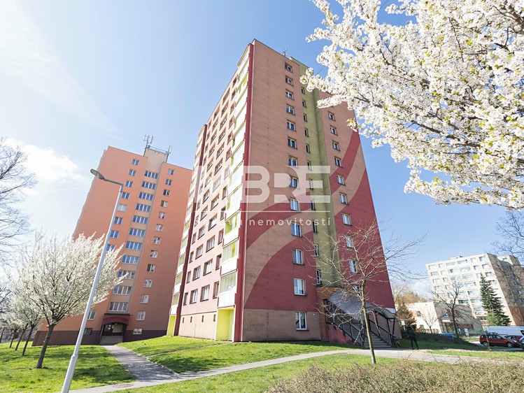 Pronájem bytu 1+kk 32 m² (Jednopodlažní) - foto 8