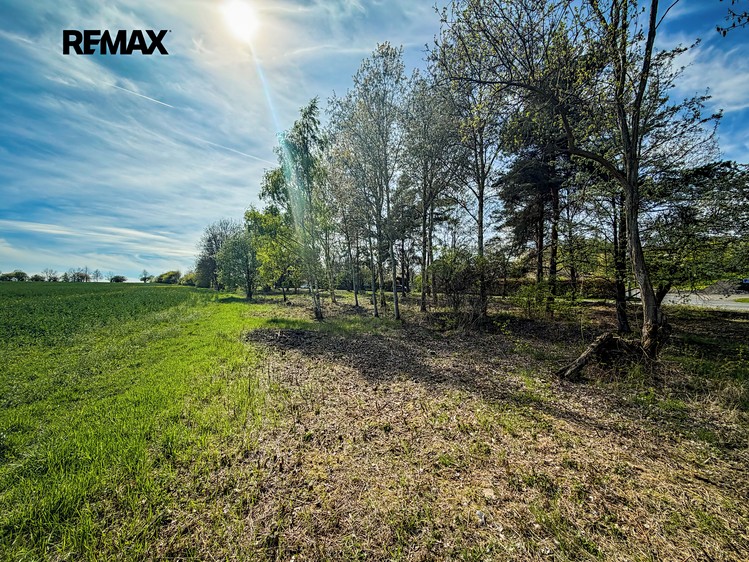 Prodej stavebního pozemku 1 101 m² - foto 5