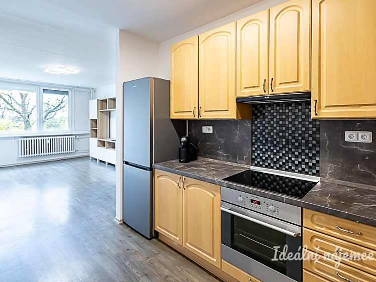 Pronájem bytu 3+kk 62 m² - foto 3