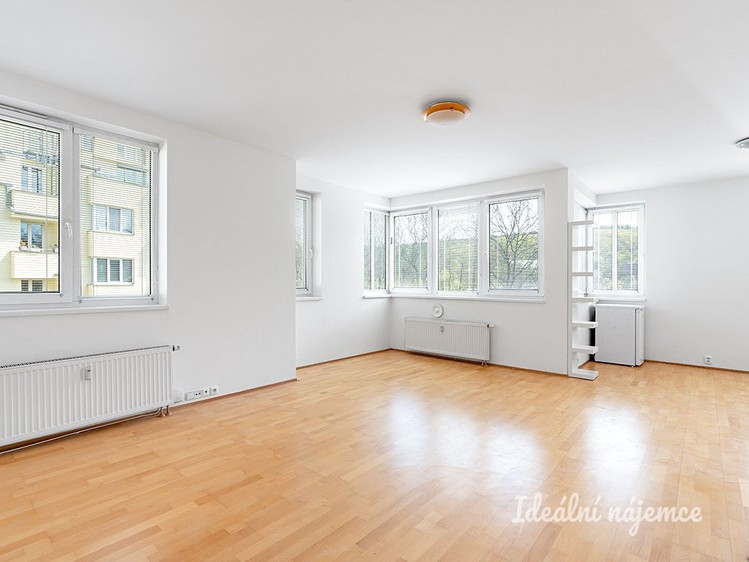 Pronájem bytu 1+kk 46 m² - foto 4