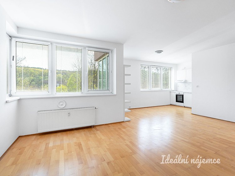 Pronájem bytu 1+kk 46 m² - foto 3