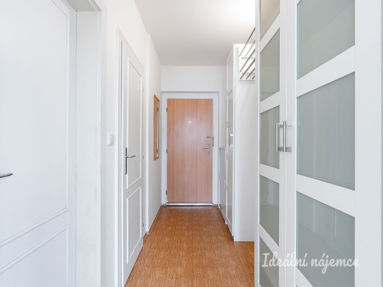 Pronájem bytu 1+kk 46 m² - foto 8
