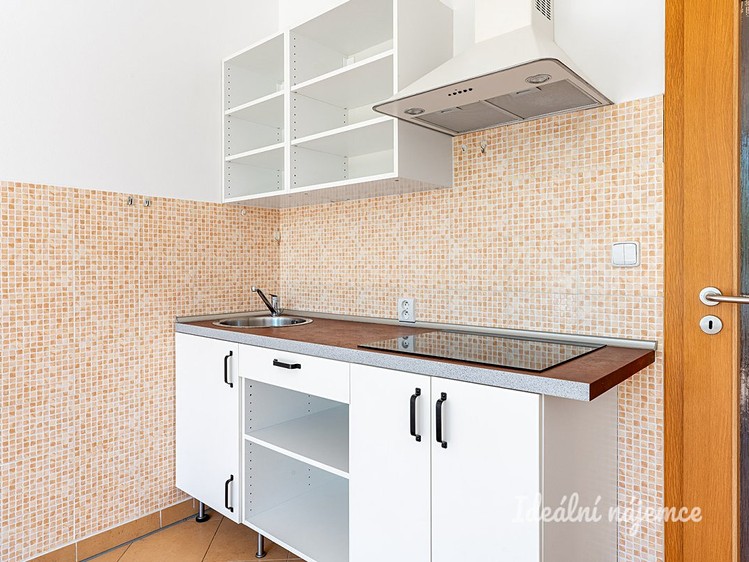 Pronájem bytu 1+kk 24 m² - foto 4