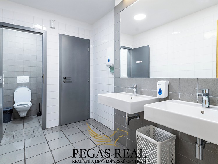 Pronájem kanceláře 132 m² - foto 8