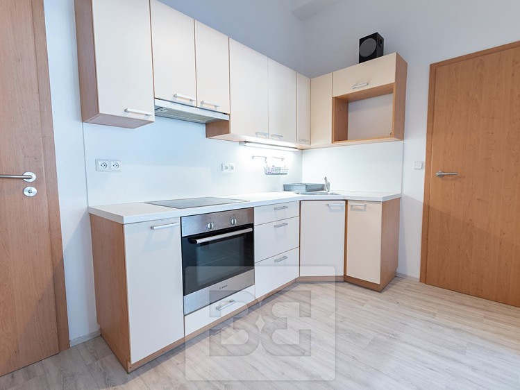 Pronájem bytu 2+kk 47 m² (Jednopodlažní) - foto 3