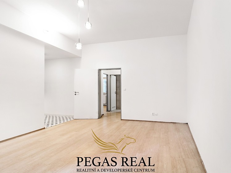 Pronájem bytu 2+kk 53 m² - foto 8