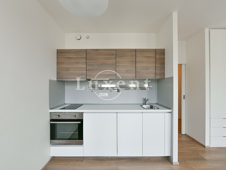 Pronájem bytu 1+kk 30 m² - foto 4