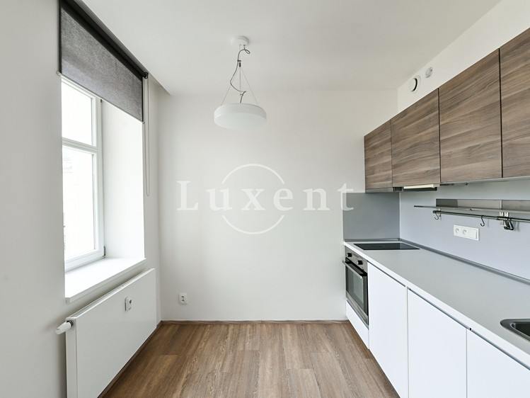 Pronájem bytu 1+kk 30 m² - foto 3