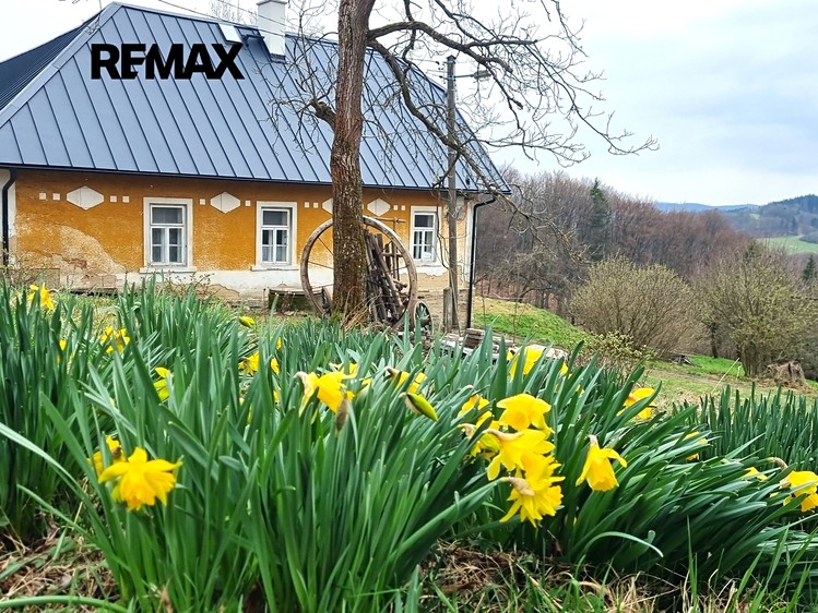 Prodej chalupy 164 m², pozemek 285 345 m² - foto 3