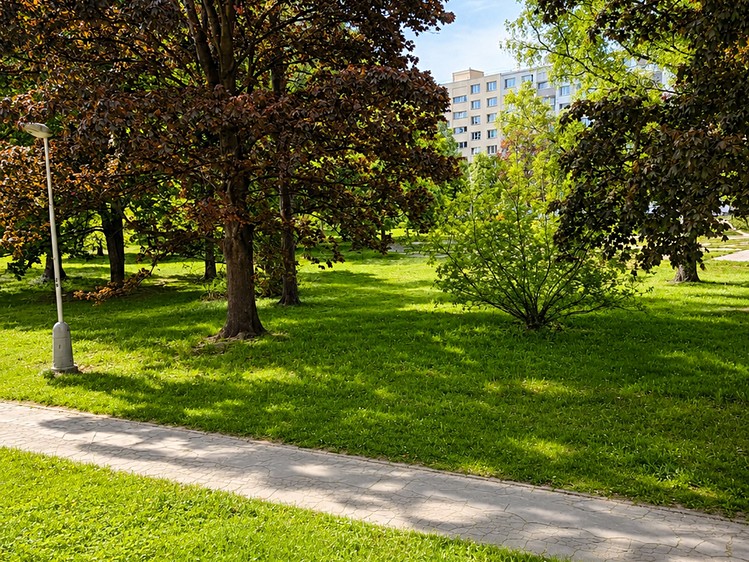 Pronájem bytu 1+1 36 m² (Jednopodlažní) - foto 8