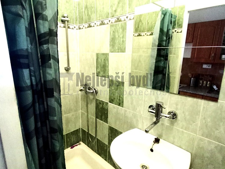 Pronájem bytu 1+1 46 m² - foto 4