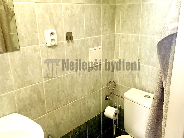 Pronájem bytu 1+1 46 m² - foto 5