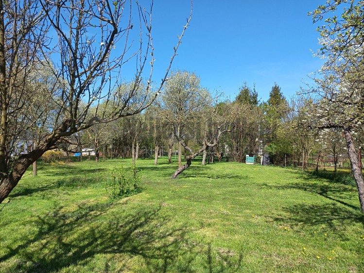Prodej stavebního pozemku 1 341 m² - foto 5