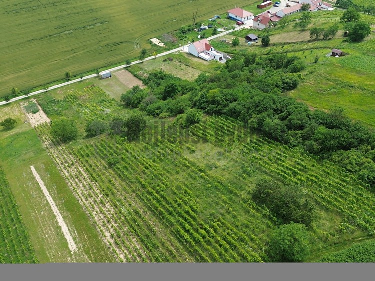 Prodej stavebního pozemku 3 395 m² - foto 3