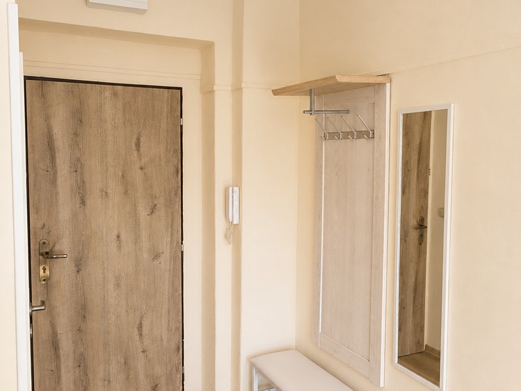 Pronájem bytu 1+1 30 m² (Jednopodlažní) - foto 3