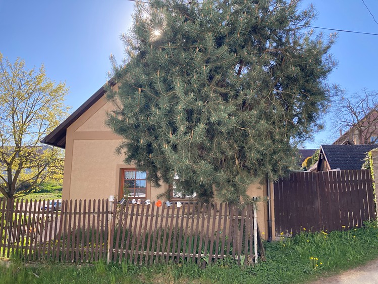Prodej rodinného domu 96 m², pozemek 305 m² - foto 2