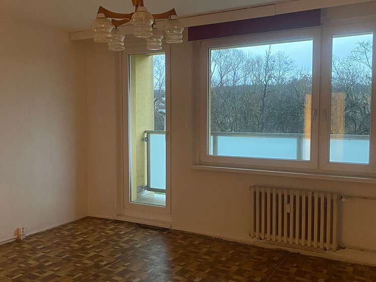 Prodej bytu 3+1 80 m² (Jednopodlažní) - foto 4
