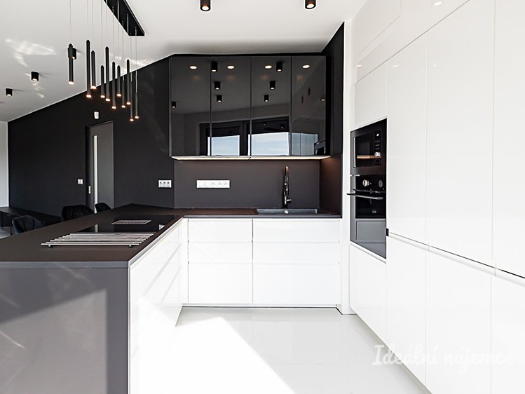 Pronájem bytu 4+kk 107 m² - foto 4