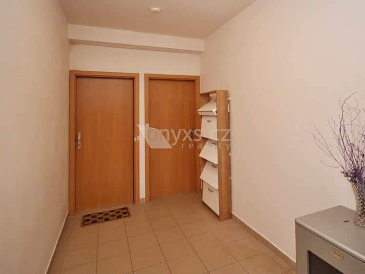 Pronájem bytu 1+kk 25 m² - foto 4
